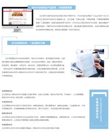 專業(yè)網(wǎng)站建設代理服務 一站式解決方案賦能企業(yè)數(shù)字化轉(zhuǎn)型